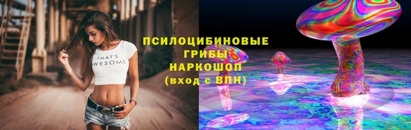 молекула духа Белоозёрский