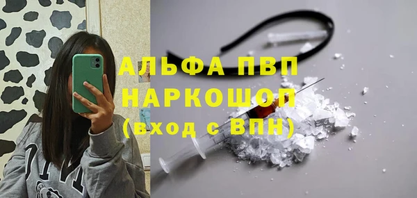 амф Белокуриха