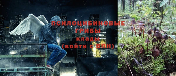 молекула духа Белоозёрский
