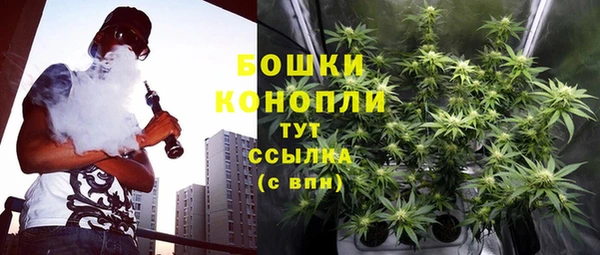 амф Белокуриха