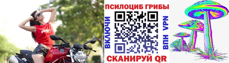 Галлюциногенные грибы MAGIC MUSHROOMS  Гремячинск 